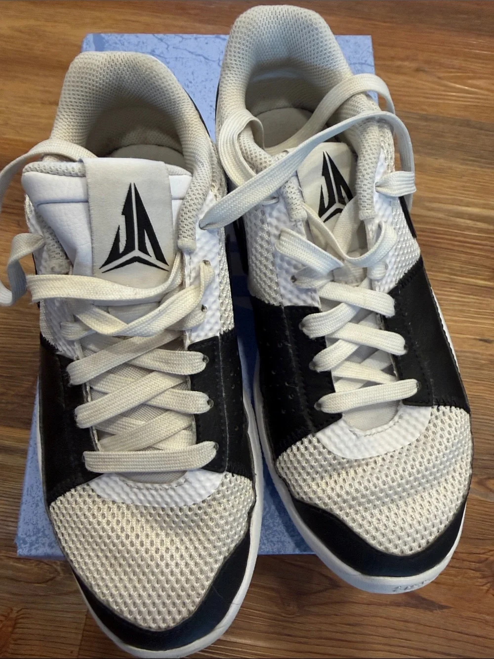 Nike JA 1 Basketball shoes